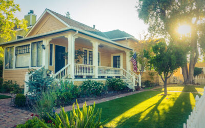 Stinkbugs Are Coming: How to Prepare Your Home