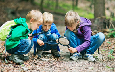 What’s So Cool About Being An Entomologist Anyway?