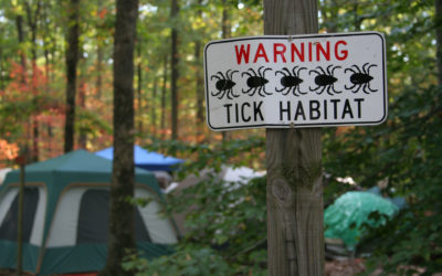 Beware of Ticks